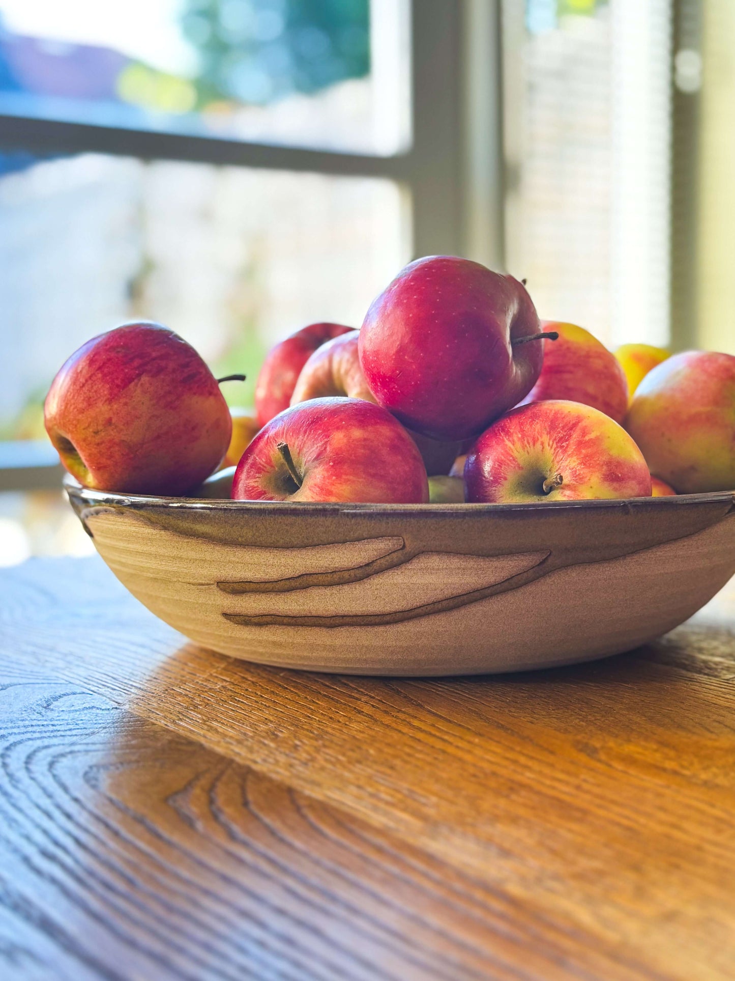 Large Shallow Bowl - Inyo #01