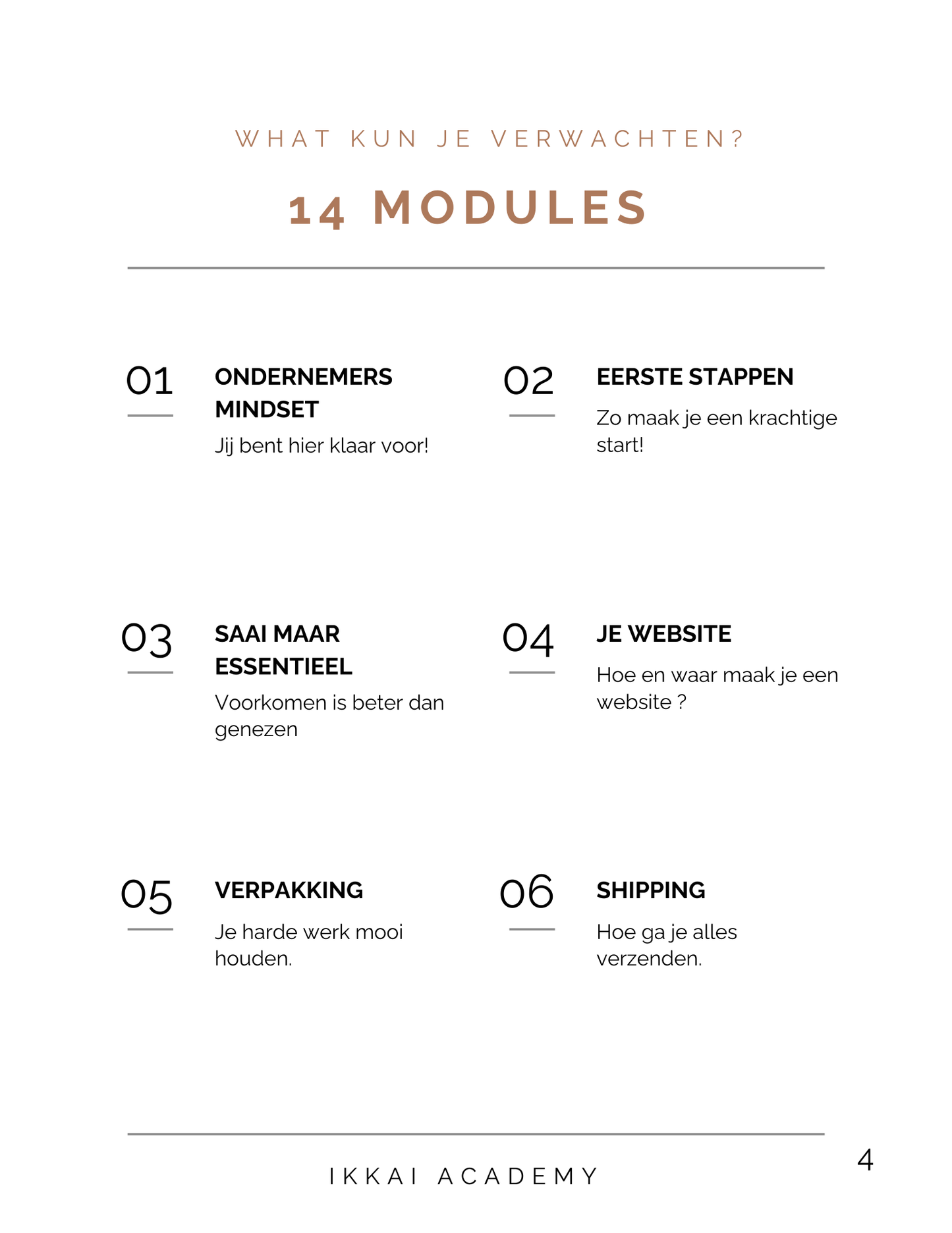 Overview of six modules from Ikkai Academy course, including topics like entrepreneur mindset, website creation, and shipping.