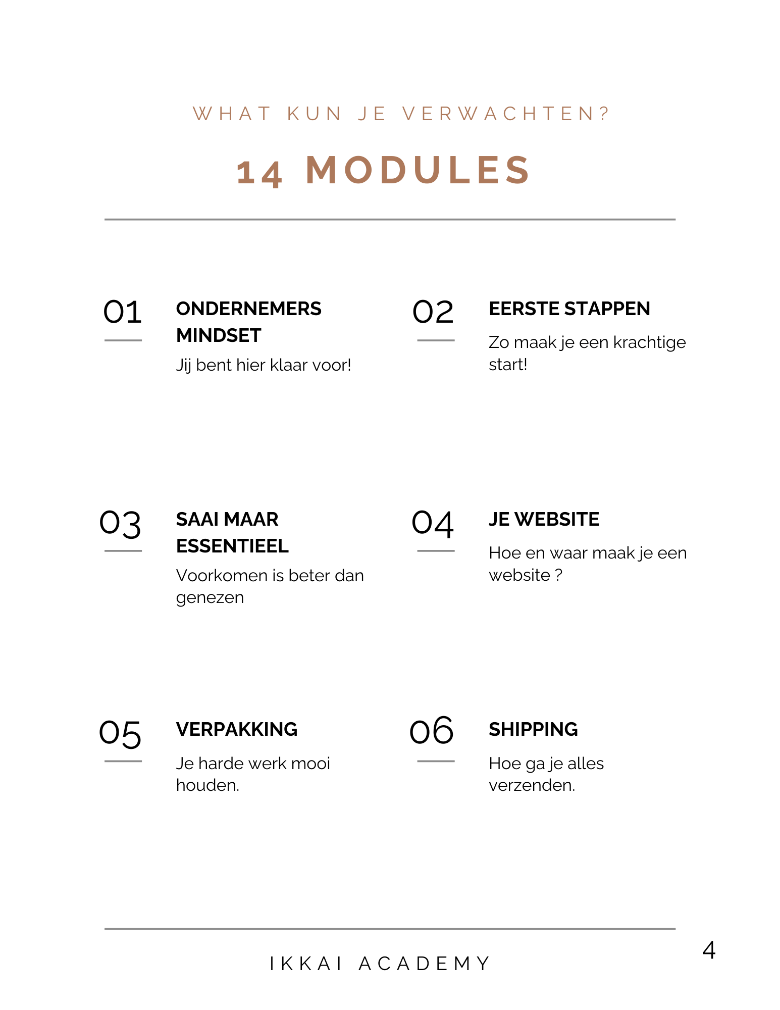 Overview of six modules from Ikkai Academy course, including topics like entrepreneur mindset, website creation, and shipping.