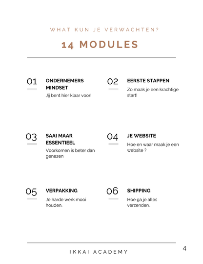Overview of six modules from Ikkai Academy course, including topics like entrepreneur mindset, website creation, and shipping.