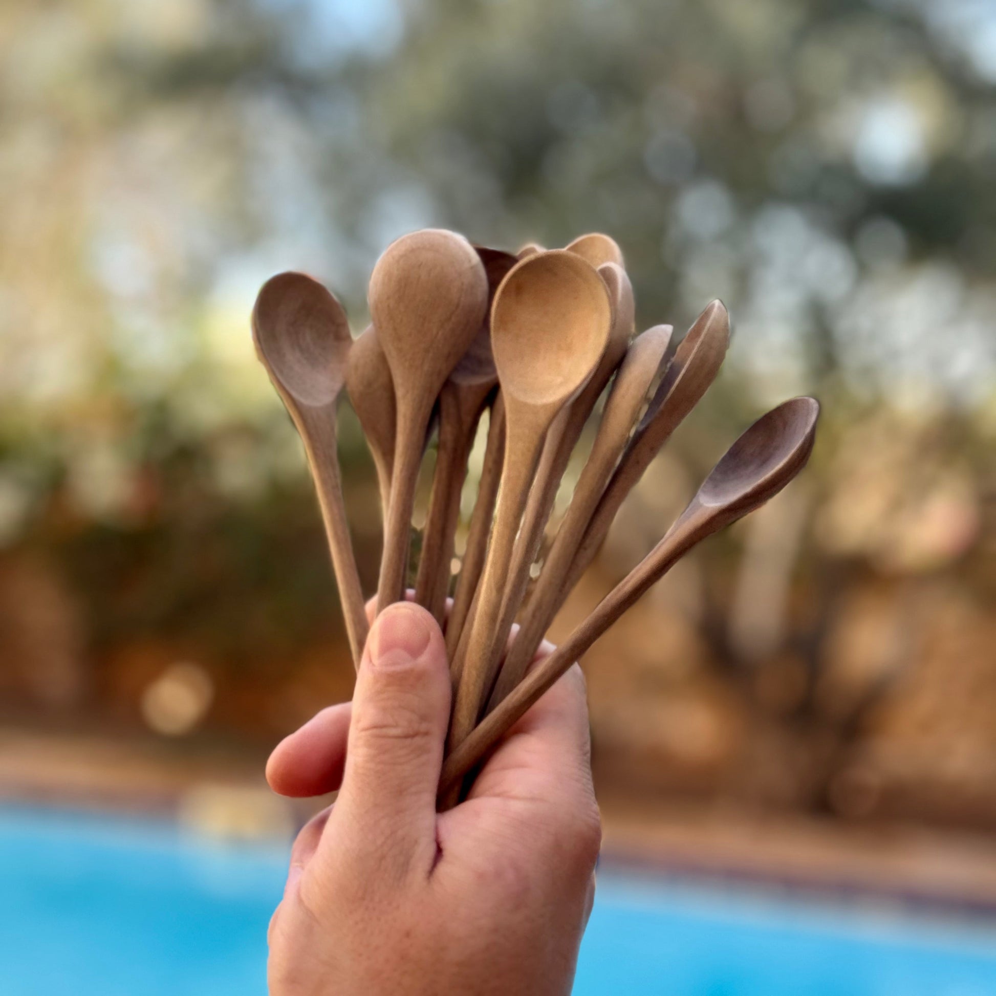 Moroccan wooden spoons