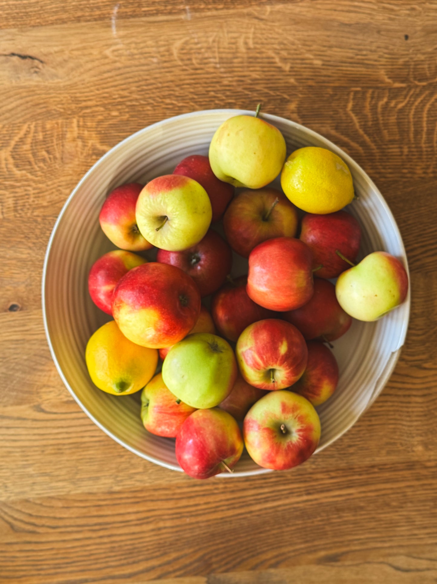 Large Shallow Bowl - Yuki