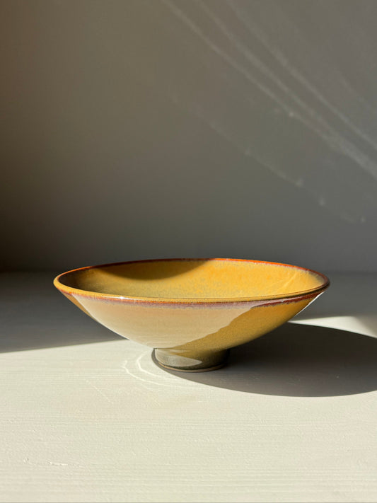 Shallow Dish - Tenmoku Glaze