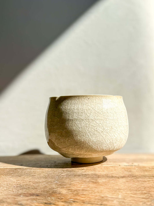 Matcha Bowl - Kannyū  #07
