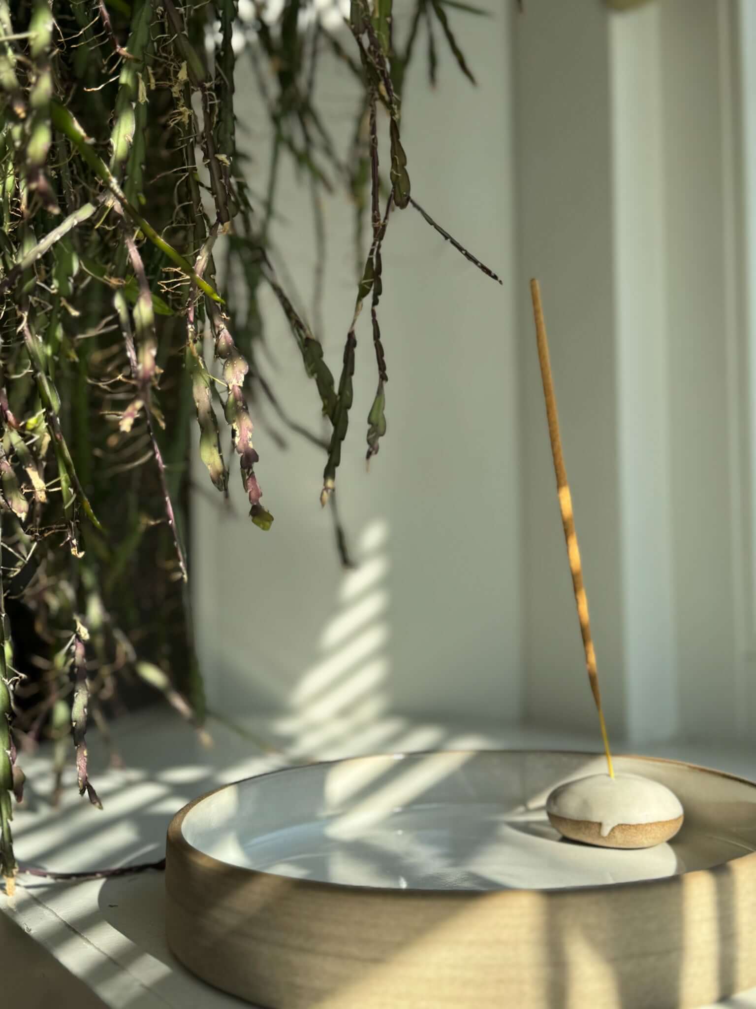 Incense Holder Pebbles rests on a ceramic dish, surrounded by hanging foliage, highlighting its handmade ceramic design.