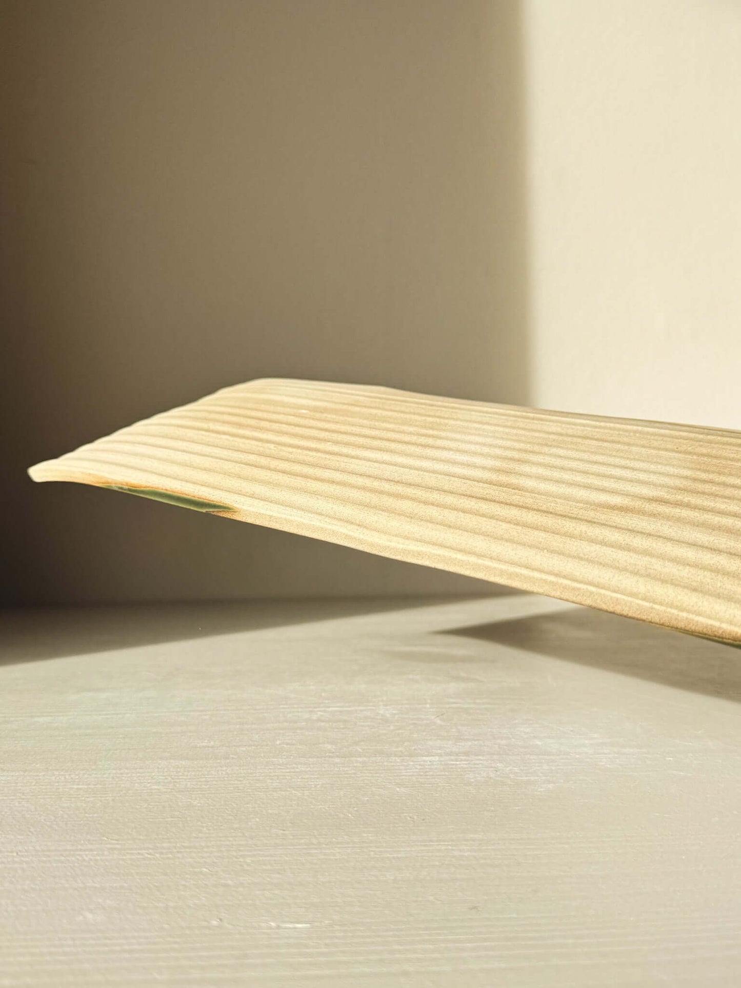 Close-up view of a textured ceramic surface under sunlight, highlighting fine details and shadows on a beige background.